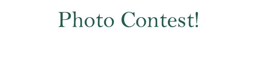 Photo Contest