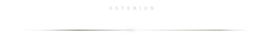 個性あふれるスタイリング