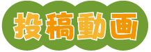 投稿動画