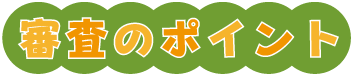 審査のポイント