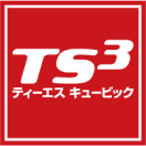 TS CUBIC CARD