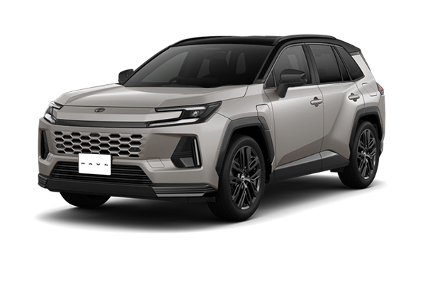 rav4_2602.jpg