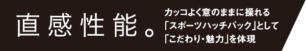 直感性能