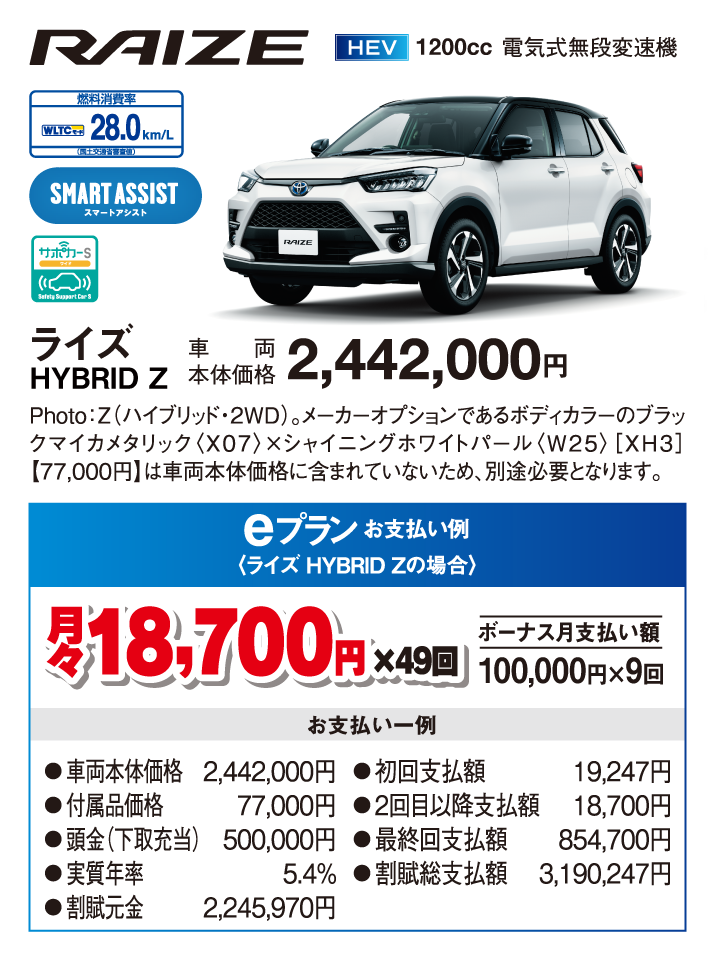ライズHYBRID Z